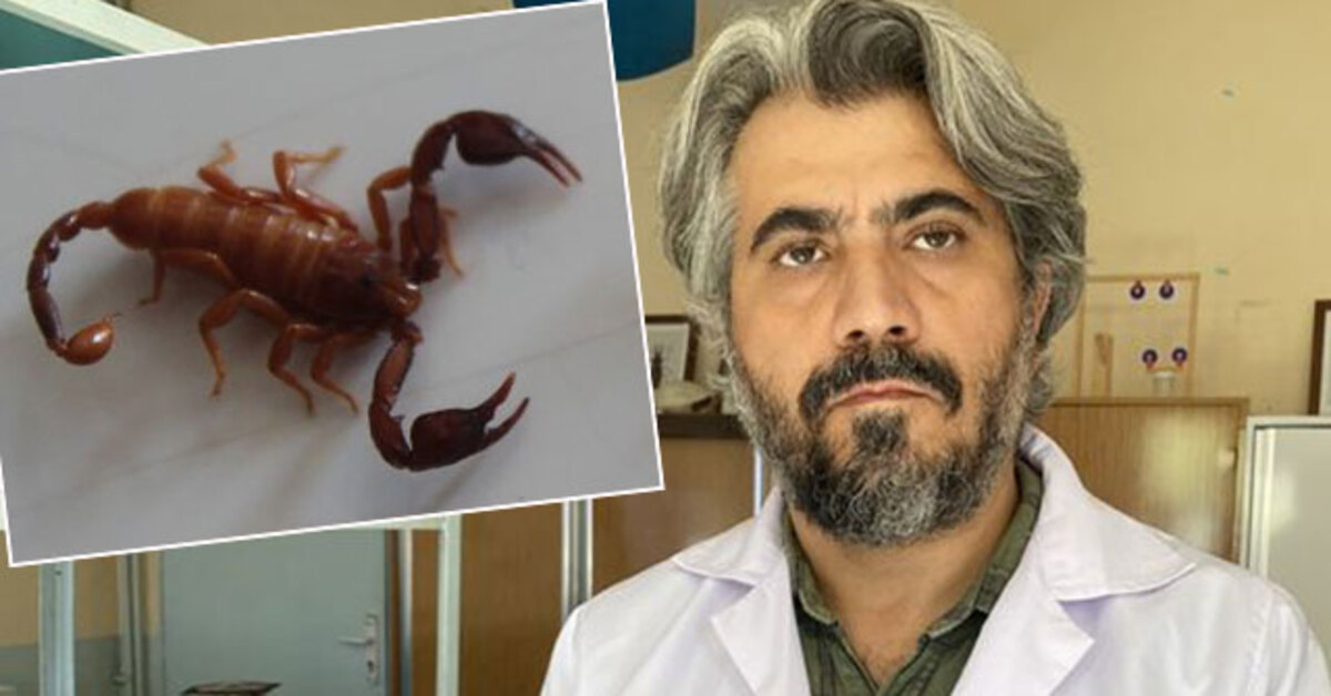 Bilim dünyasına duyuruldu! Eşinin ismini verdi! Yeni bir tür!
